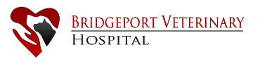 bridgeport_veterinary_hospital_logo