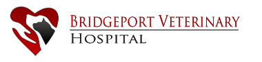 bridgeport_veterinary_hospital_logo